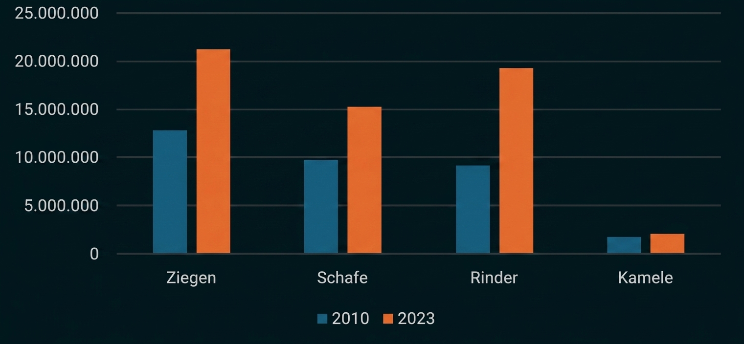 Balkendiagramm: Tierzahlen für Ziegen, Schafe, Rinder, Kamele 2010 (blau) vs 2023 (orange); Ziegen, Schafe und Rinder deutlich gestiegen.